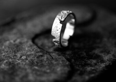 Alliance TERRES AUSTRALES or gris palladié